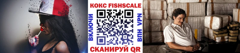 магазин  наркотиков  Богородицк  COCAIN Fish Scale 